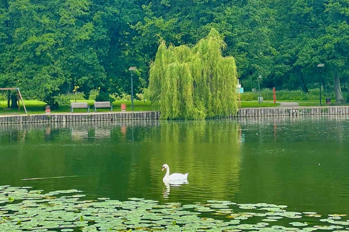 Фотография городского квеста Парк Плантаже от компании Поехали! (Фото 1)